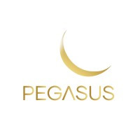 Interview to Sergio Romerio, CFO Pegasus